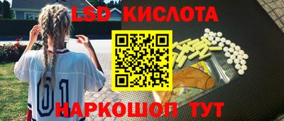 твердый Будённовск