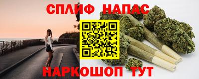 твердый Будённовск
