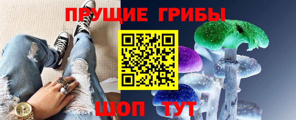 Псилоцибиновые грибы мицелий Конаково